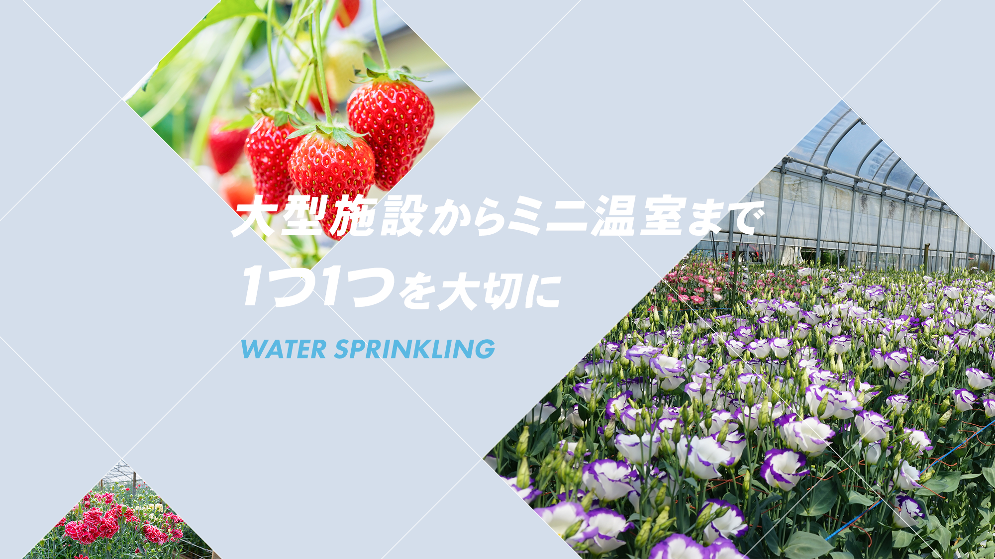 大型施設からミニ温室まで1つ1つを大切に