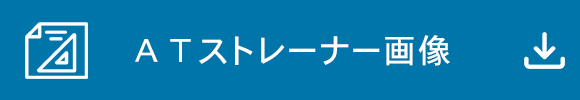 ＡＴストレーナー画像